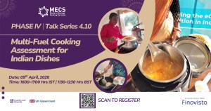 Multi-Fuel Cooking Assessment for Indian Dishes